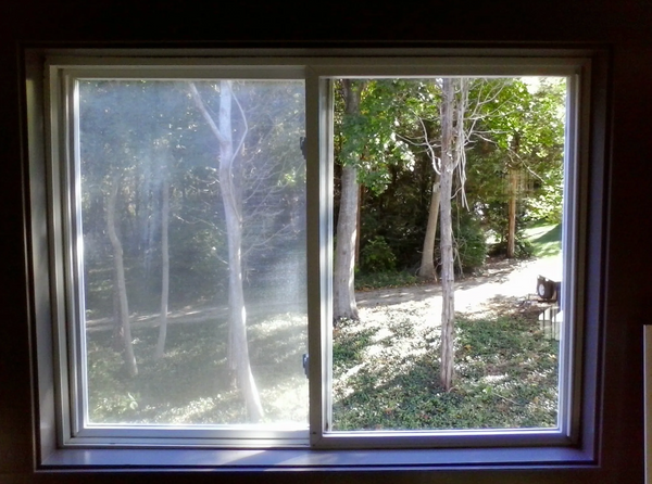 Window Cleaning